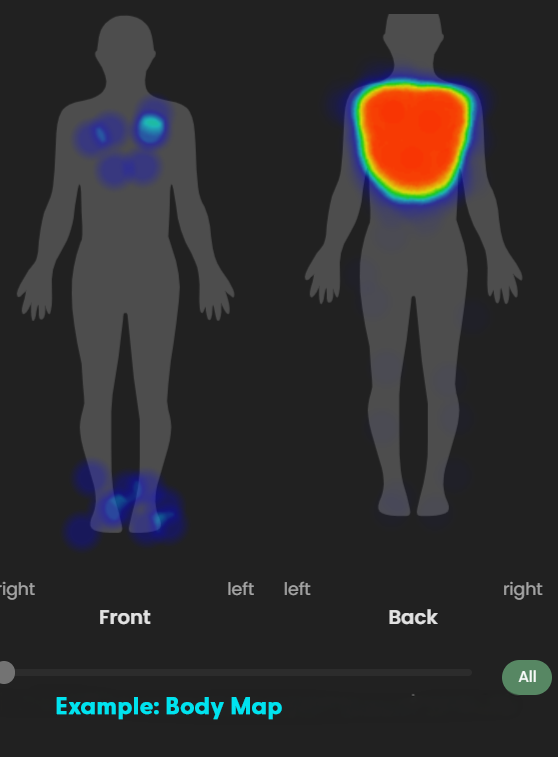 Image of the Guava Health Body Map